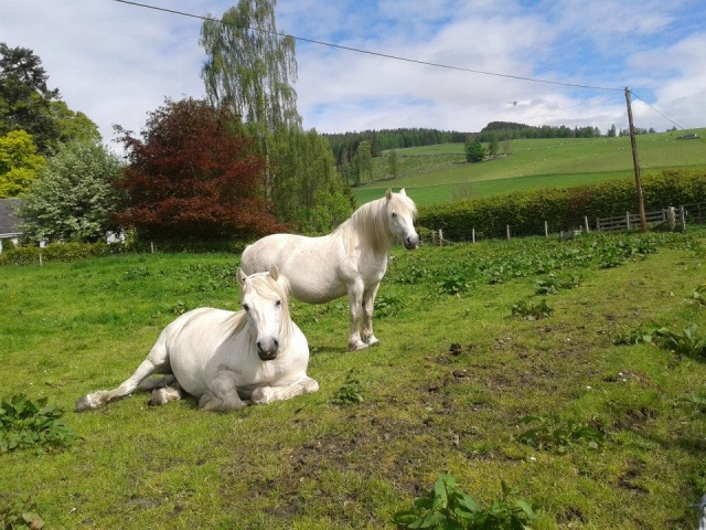  Isla y Jenny 